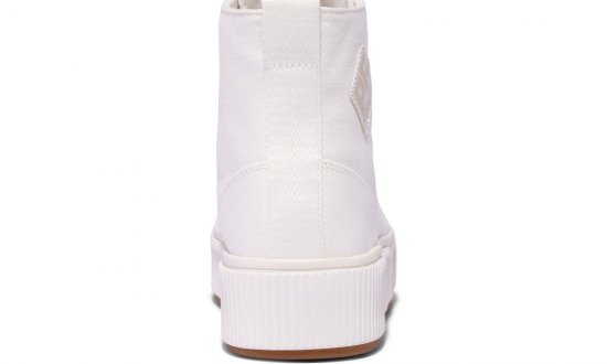 Sea Salt Allston Hi Top | Unisex Canvas Sneaker